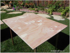 Prep the wood by filling imperfections with wood filler and sanding the surface and edges.